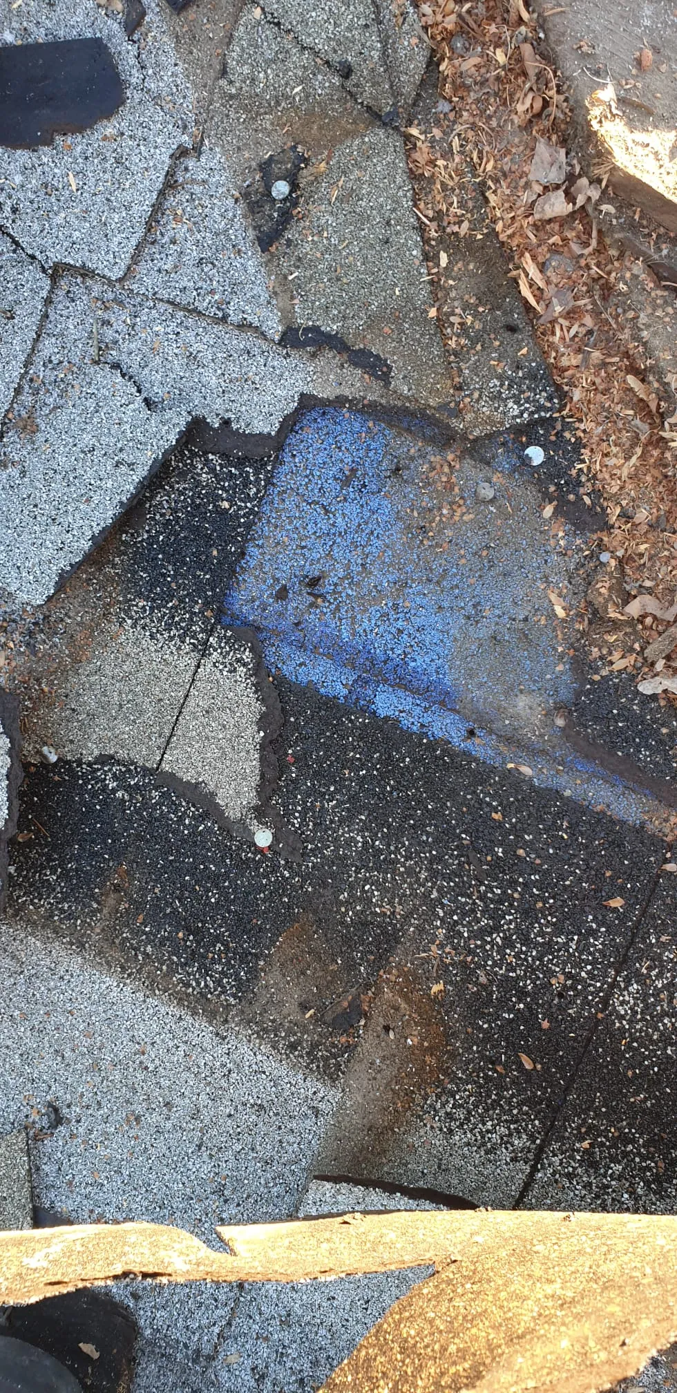 Cracked blistered shingle damage repair in Calgary