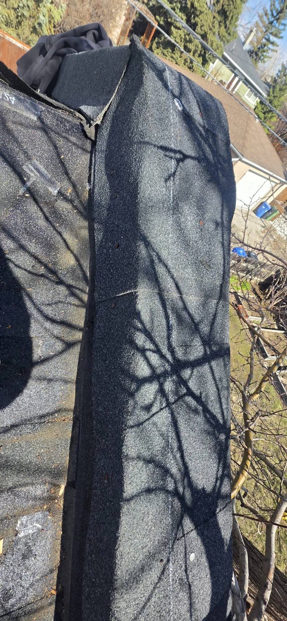 Roof inspection hip shingles in Calgary backyard